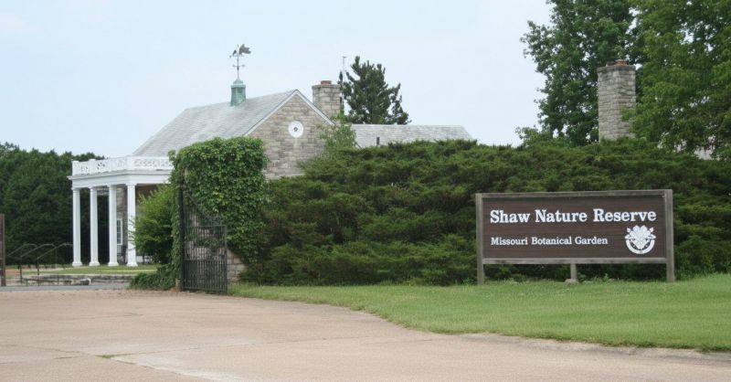 Best Tub To Shower Conversion pros in Lees Summit, MO