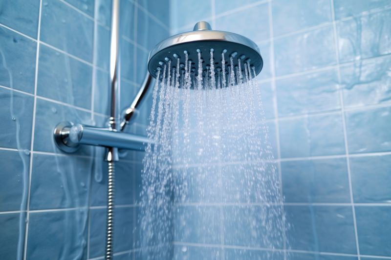 Modern Shower with Multiple Sprays